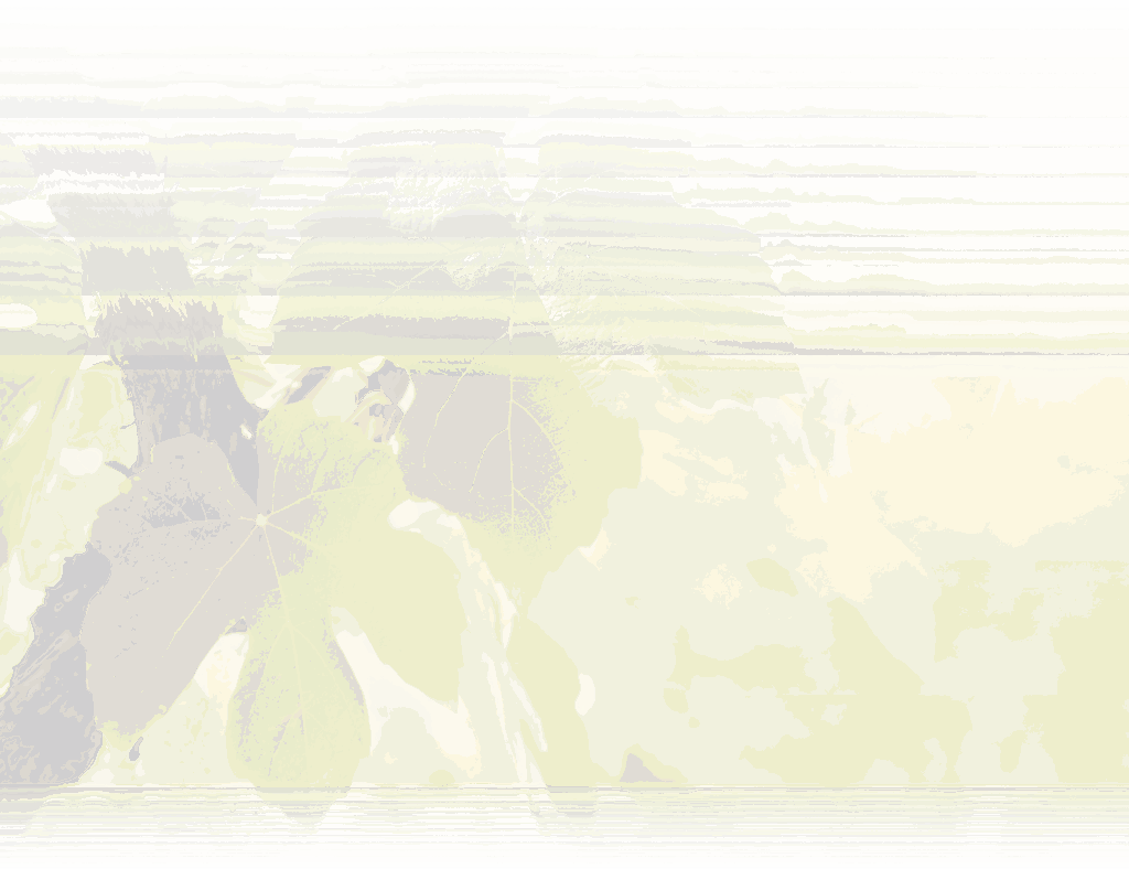 camping-chenes-verts-nature