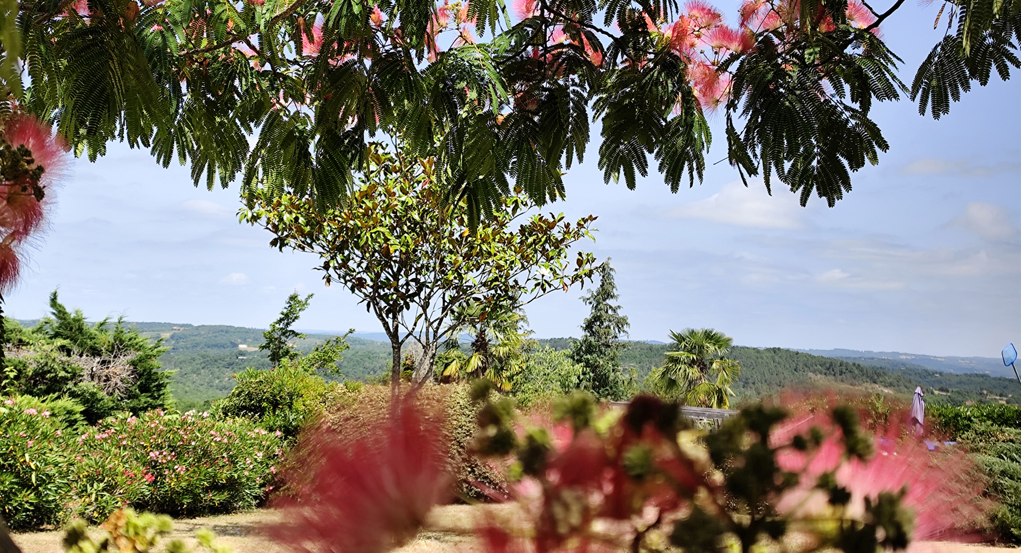 camping-le-daguet-nature