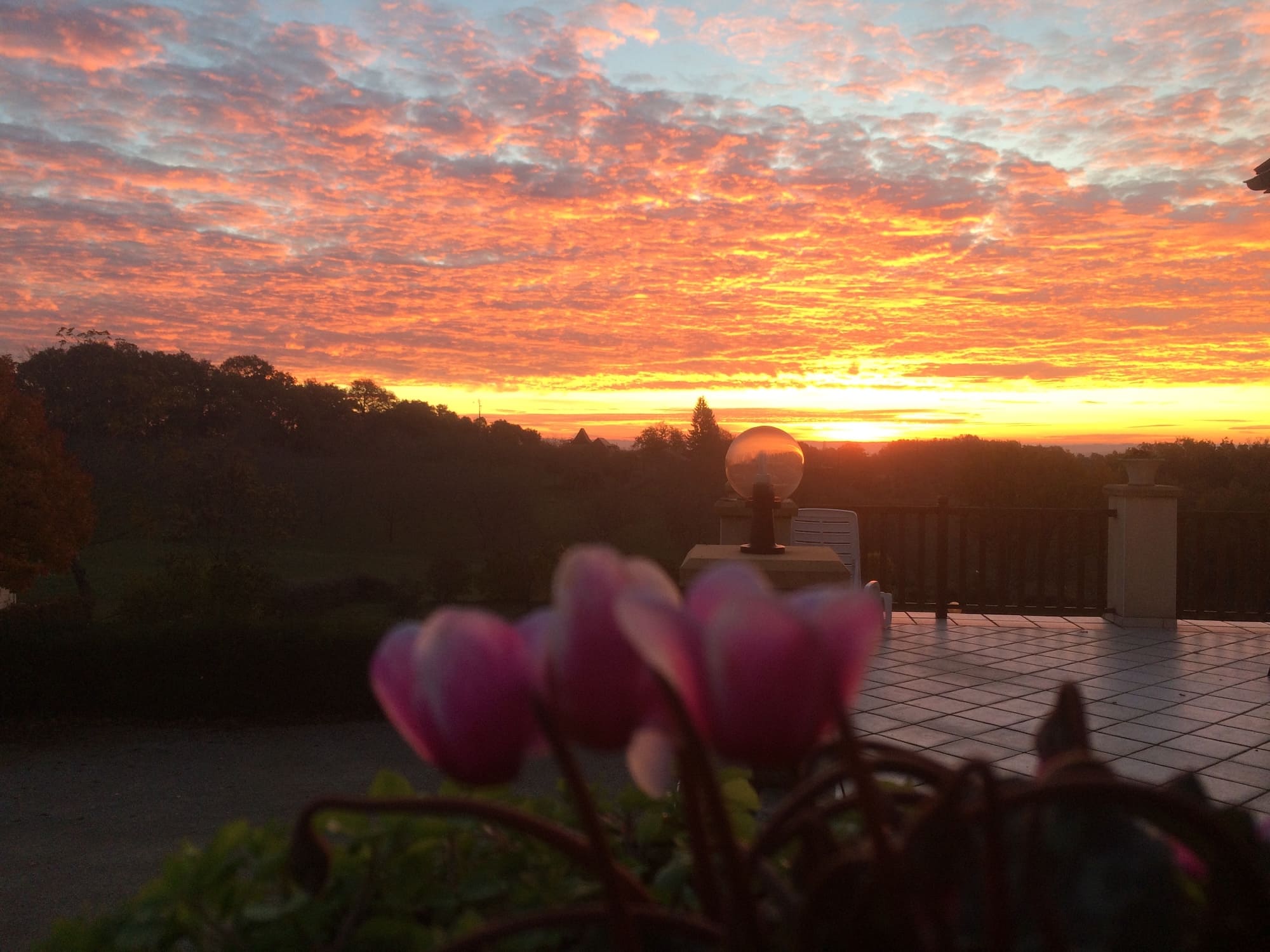 camping le daguet sunset coucher de soleil dordogne fleurs