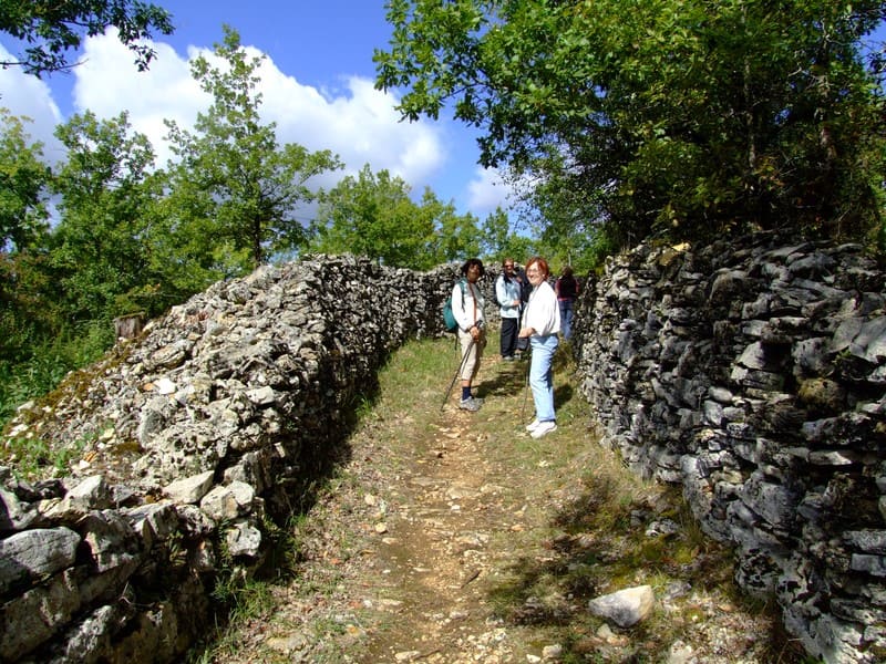 rando cabanes daglan le daguet camping dordogne